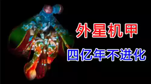 外星机甲阵容(机甲战队最强搭配)
