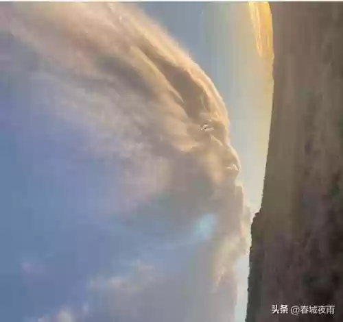动物园里动物100种(动物园里有什么动物呢)插图7