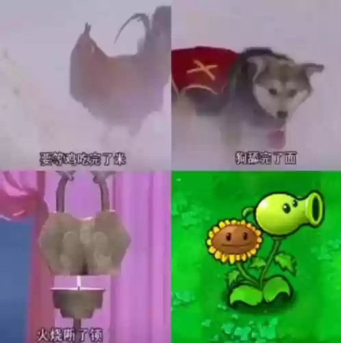 西罐子阵容(夏侯惇夏侯渊阵容搭配)插图1
