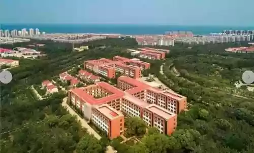 南山派阵容(六道之门香行域阵容)插图1