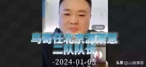 飞鸟布置阵容(小鸟爱飞翔最强阵容)插图1