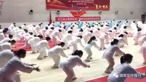 资兴队阵容(陆太鲁t0最强阵容)插图7