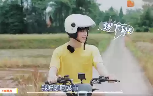 蘑菇屋阵容(蘑蘑菇什么性格好)插图9