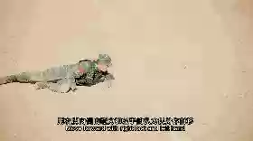 军训战术阵容(军训有哪些训练项目)插图8