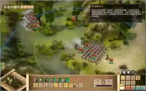 罗马龟甲阵容(口袋妖怪比赛冠军阵容)插图2