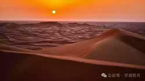 沙漠领主玩什么阵容(沙漠绿洲新手推荐阵容)插图1