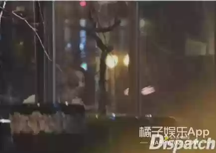 结婚美女阵容(结婚开场舞简单有气势)插图38