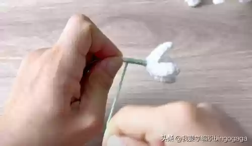 满天星花束(满天星花语及寓意)插图13