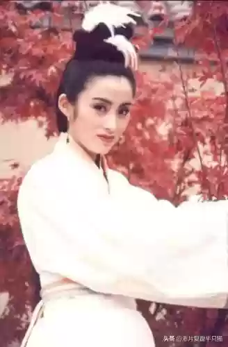 倚天屠龙记经典版(金庸最认可的倚天屠龙记)插图47