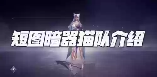 核爆猫咪阵容(核弹流猫咪出装)插图1