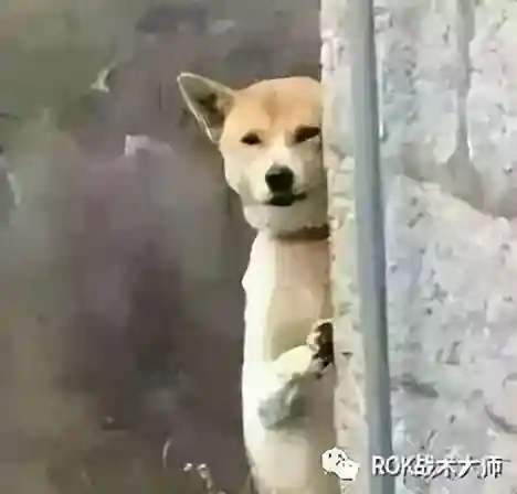 争分夺秒阵容装备(云梦四时歌清明最强阵容搭配)插图4