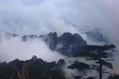 十大好看手机壁纸(壁纸app排行榜前十名)