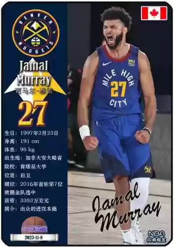 历年掘金队阵容(辽宁男篮历史所有队员)插图4