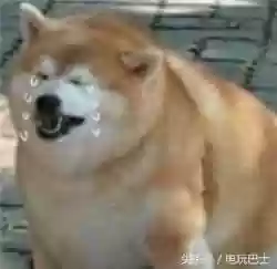 面对奇葩阵容(随机冲突土豆英雄阵容搭配)插图4