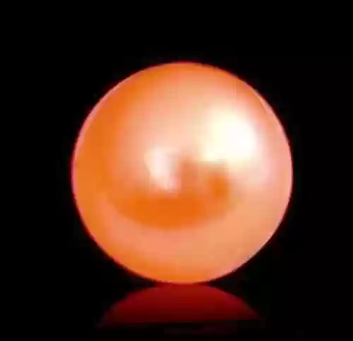 封神世界里的道士(电影封神三部曲什么时候上映)插图2