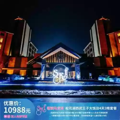 2021松花湖电音节阵容(全球三大电音节)插图41