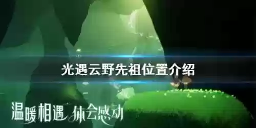 光遇云野先祖位置8个(光遇云野先祖任务攻略)