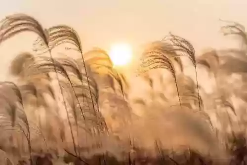苍莽赛季阵容(王者模拟战最新阵容)插图8