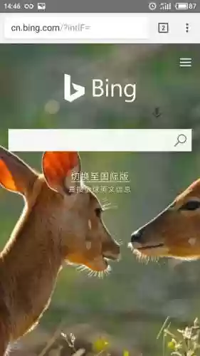 必应国际版(bing搜索国际版入口)插图1 必应国际版(bing搜索国际版入口)插图1