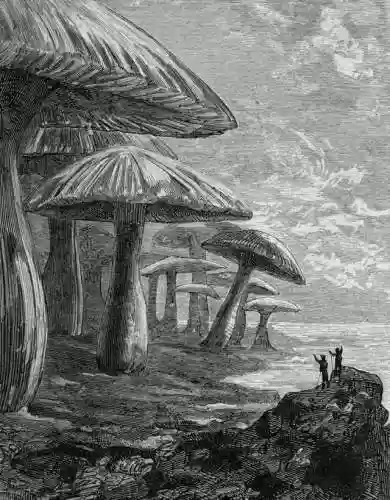 地心游记小说(地心游记免费阅读)插图1