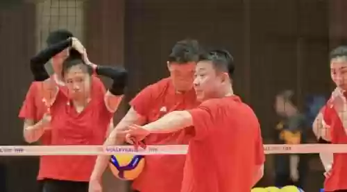 女排 替补阵容(女排小组出线名单)