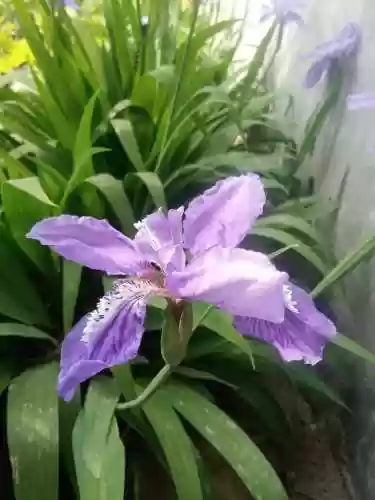 穿越火线之兵行天下(穿越火线小说主角江雨寒免费阅读)