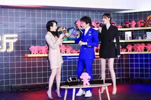 李斯羽阵容(光羽刺客最佳阵容)插图2