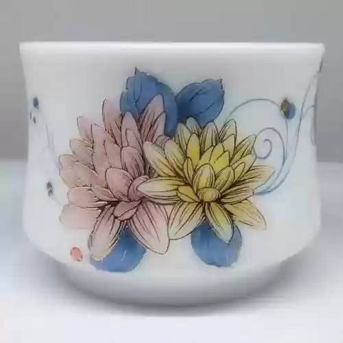 福拉丝阵容(拉克丝云顶之弈阵容)插图35