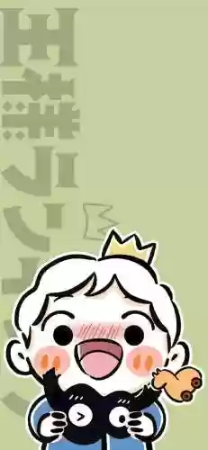 国王阵容壁纸(2006年国王队阵容)插图9