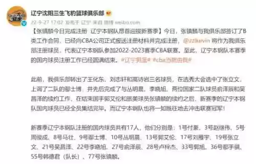 辽宁本钢2019阵容图片(cba辽宁本钢队员名单)插图2
