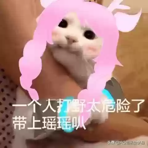超级无敌回血阵容推荐(推荐一些克制回血的阵容)