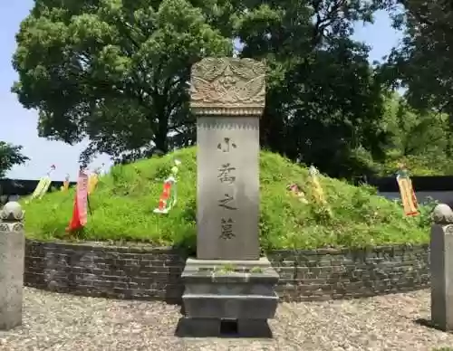 江东小乔自动爬塔阵容(大乔开荒阵容)插图1