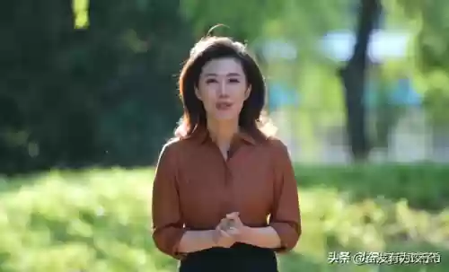 老面孔阵容(八分旅人2阵容搭配)插图4