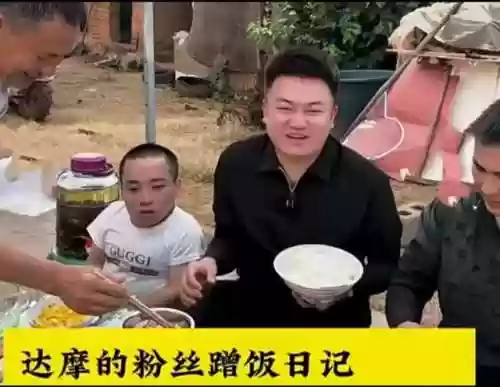 美食达摩阵容(食之契约阵容搭配推荐)