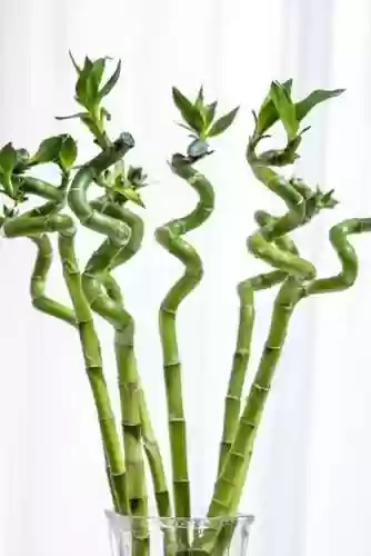 植物大战僵尸聚宝盆阵容(植物大战僵尸最强阵容搭配图片)插图6