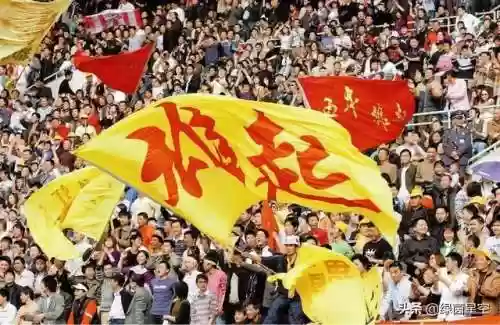 前卫寰岛阵容名单(前卫寰岛历届队员)插图7