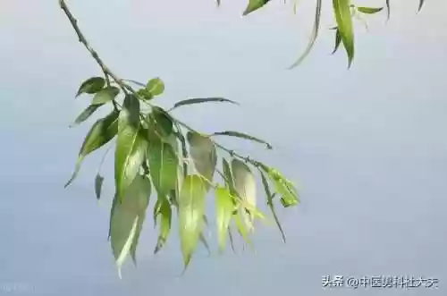 用手过度的海绵体受损怎么恢复(海绵体受损能自行恢复吗)插图3