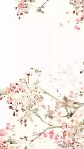 侯府娇女(穿越侯府庶女)插图1