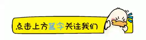节目组阵容(众神派对阵容通用队推荐)