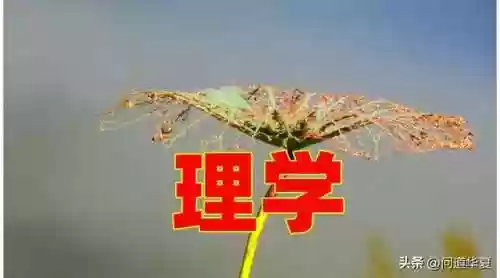 问道不死阵容(问道玩什么角色最吃香)插图2