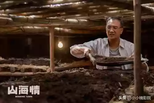 沙红阵容带啥阵容(口袋妖怪火红阵容)插图11