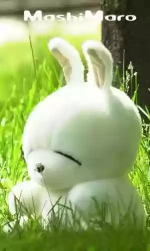 卡通兔子图片(小兔子的简笔画)插图23