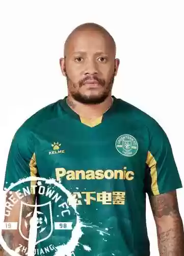 绿城 阵容(杭州绿城队)插图26