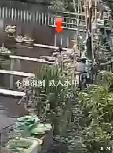 勇者无畏最佳阵容(我的队伍勇往直前阵容推荐)