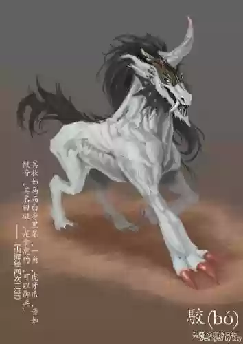 108只神兽大全(宝可梦98只神兽图片)插图4