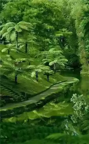 精美壁纸手机高清图片(精美壁纸动漫 二次元男生帅气)插图89