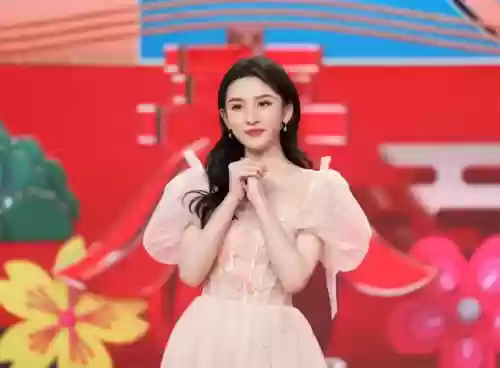 春晚阵容衣服(春节联欢晚会同款衣服图片)插图4
