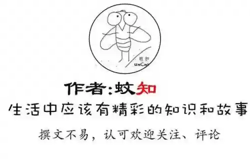 无限世界进化史(无限恐怖之新的崛起)插图20