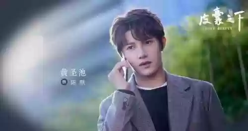 皮囊之下阵容(鸿图之下阵容)插图2