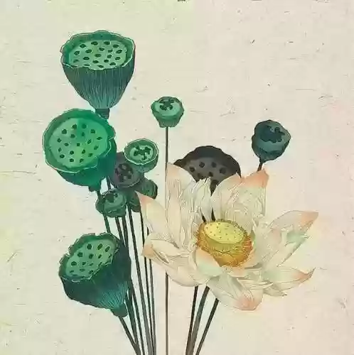 十万个爆笑脑筋急转弯(脑筋急转弯大全100题及答案爆笑)插图3
